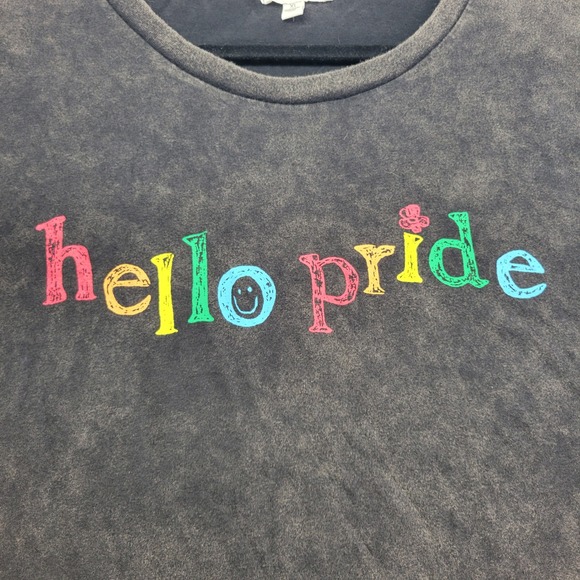 BP Hello Pride Mineral Wash Graphic T-Shirt Grey Women XL Top Shirt Pullover New - Picture 3 of 16